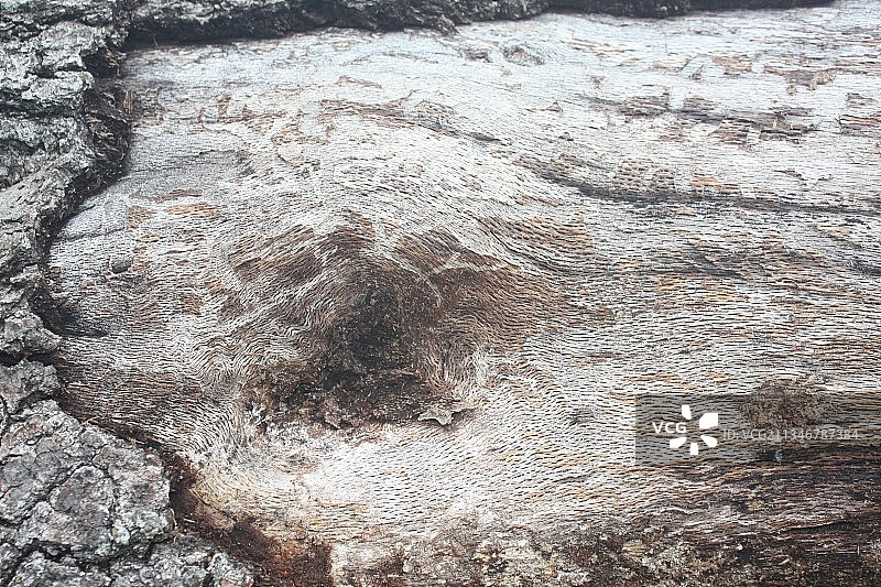 饱经风雨的墙的全框架镜头图片素材