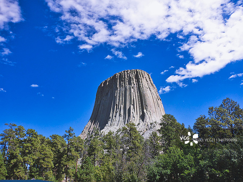 美国怀俄明州魔鬼塔的树木仰视图片素材