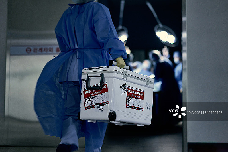 器官捐献、治疗、医药、急诊、疾病、外科手术、手术室、医院、冰盒图片素材