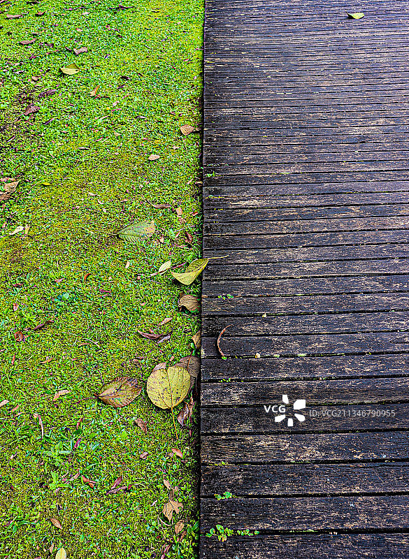 巴西田野木板路高角度视图图片素材