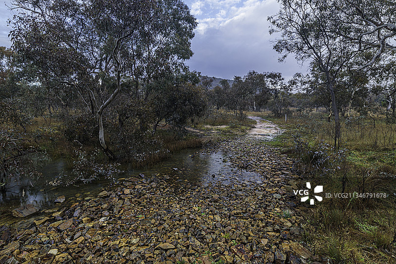 澳大利亚首都领地赛蒙斯顿的树木河流风光图片素材