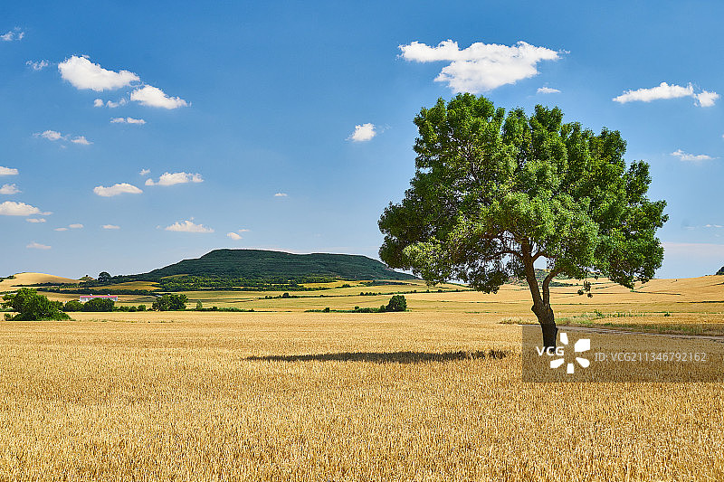 西班牙，惠斯卡，洛阿雷，天空映衬下的农田风景图片素材