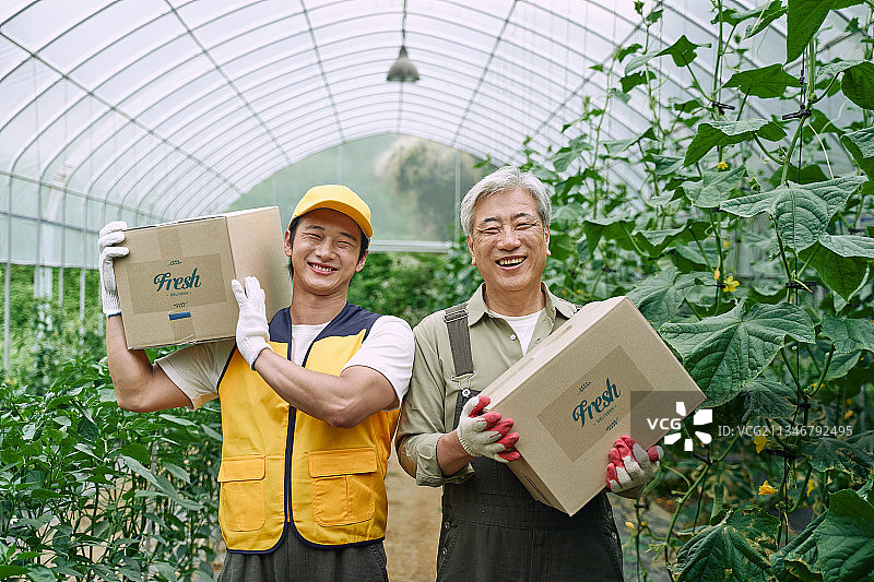 配送，冷链配送，箱子，包装，订单，蔬菜，农业，农民，直接配送图片素材