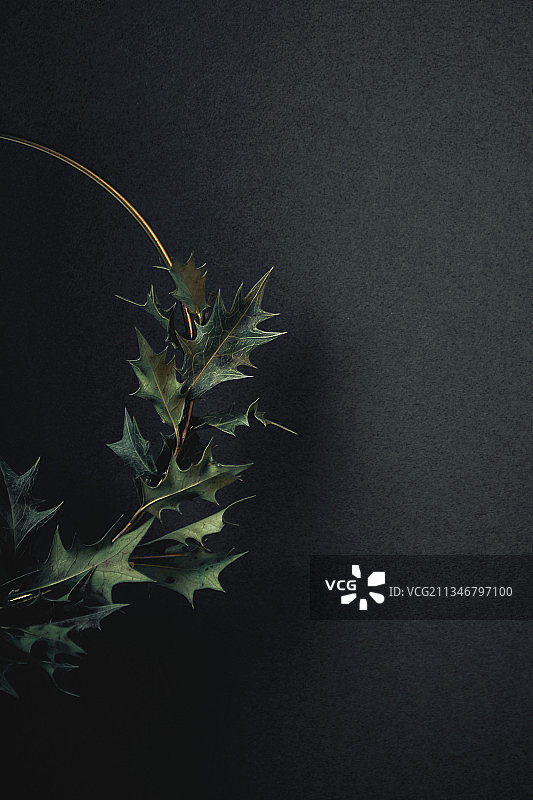 装饰花环圣诞静物图片素材