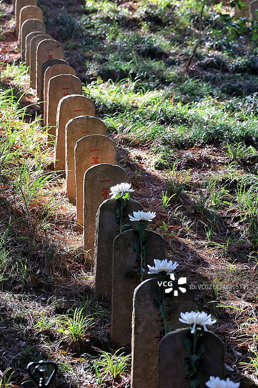 腾冲国殇园剪影图片素材