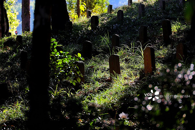 腾冲国殇园剪影图片素材