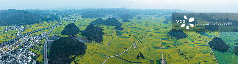 云南罗平油菜花海图片素材