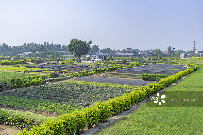 佛山贤鲁岛共享农场图片素材