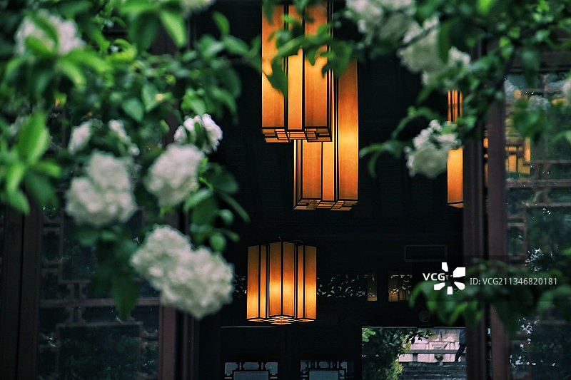 南京清凉山绣球花美景图片素材