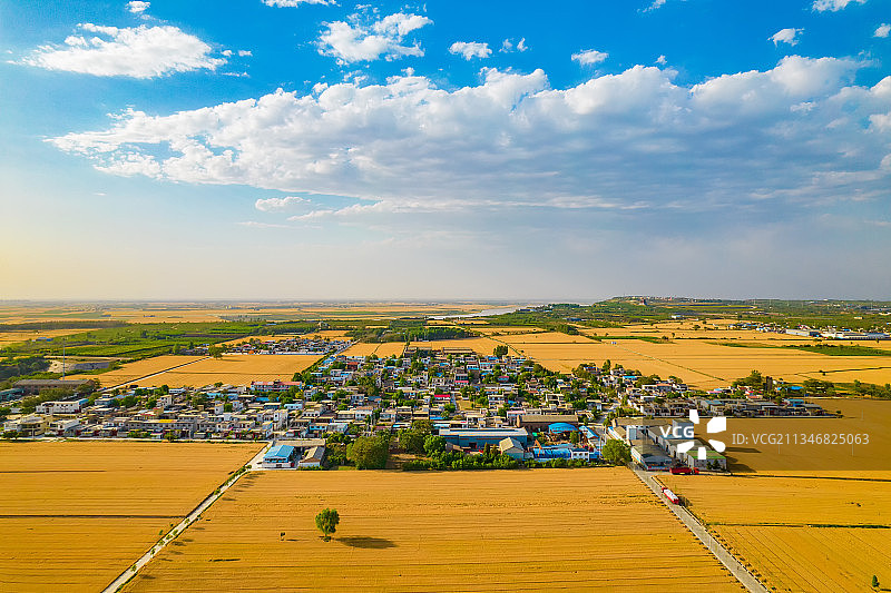 中国河南郑州夏季黄河美丽乡村麦田风光航拍视角全景图图片素材