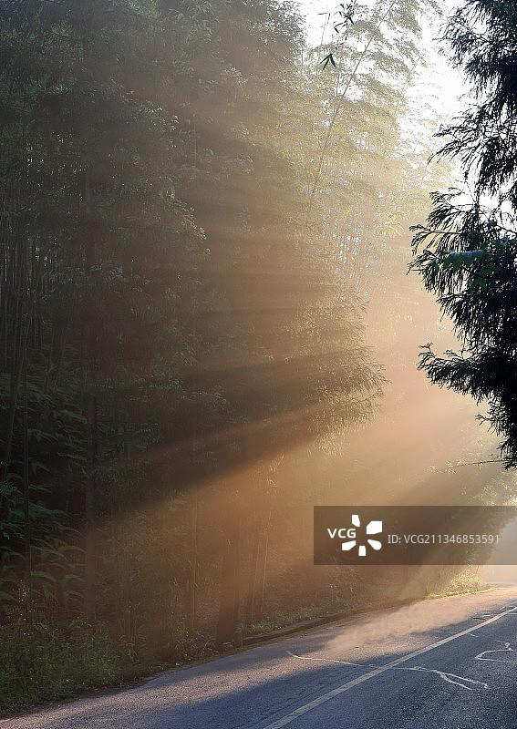 迷人之道图片素材