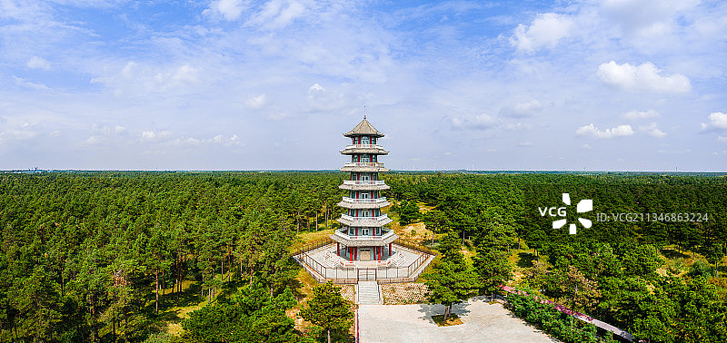 辽宁省阜新市彰武县章古台万亩松林守望塔图片素材
