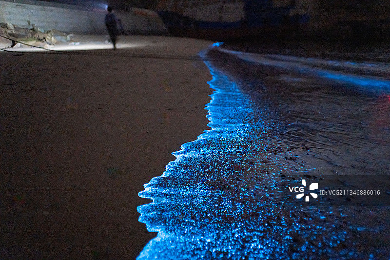 平潭蓝眼泪 海萤 荧光海图片素材