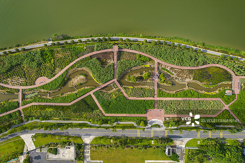 深圳燕罗湿地公园图片素材