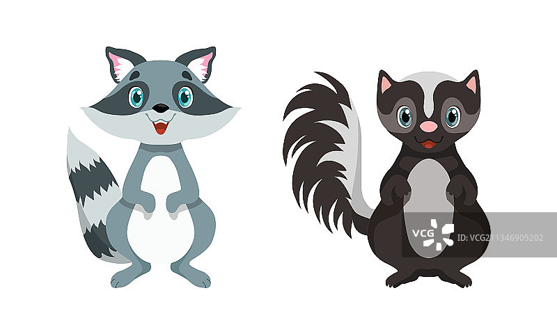 浣熊和臭鼬等可爱的林地动物图片素材