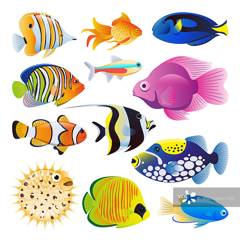 扁平卡通海洋鱼类图片素材