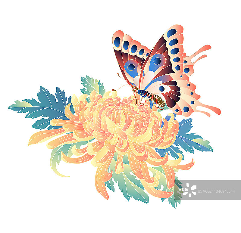菊花蝴蝶元素图案图片素材