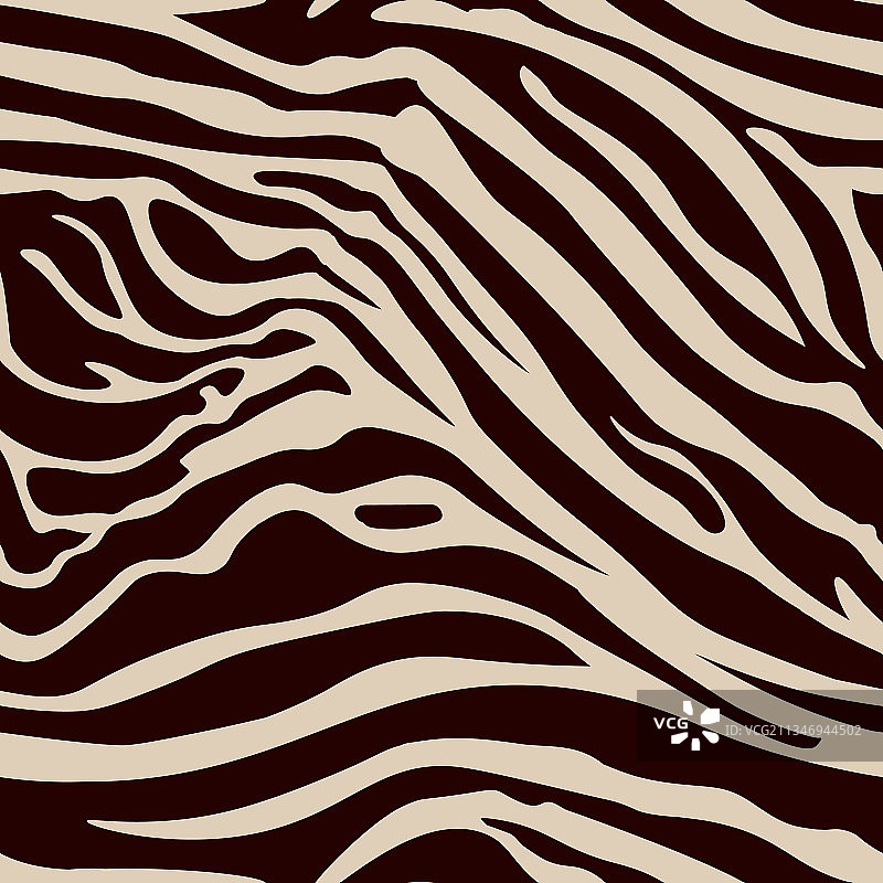 手绘斑马条纹图案图片素材
