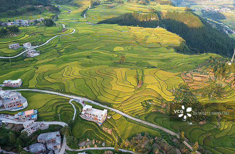贵州贵定县腊利梯田的秋色图片素材