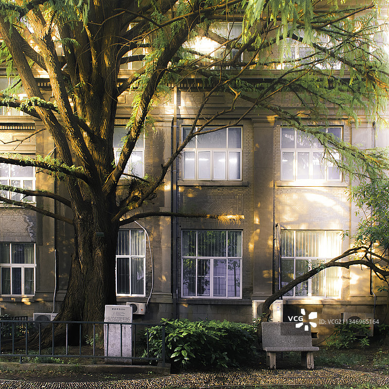 校园 南京图片素材