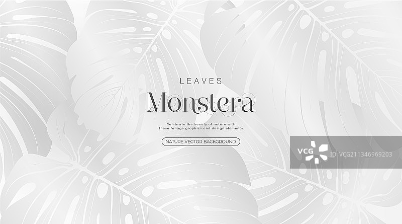 白色背景上的热带叶子龟背竹渐变奢华风图片素材