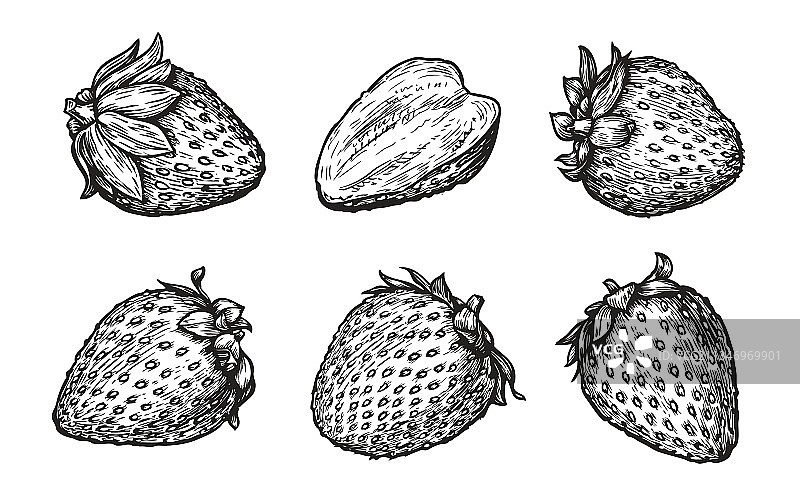 手绘草莓素描雕刻风格图片素材