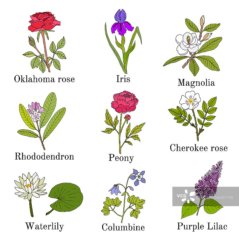 彩色花园花卉图片素材