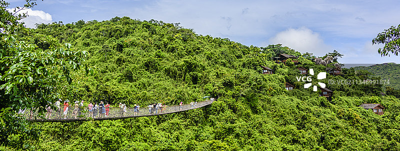 中国海南省三亚市热带天堂森林公园图片素材