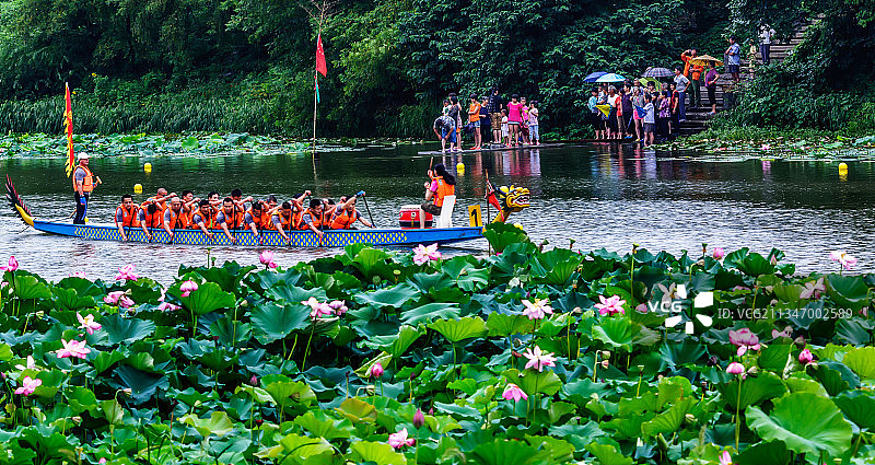 十里荷塘赛龙舟图片素材