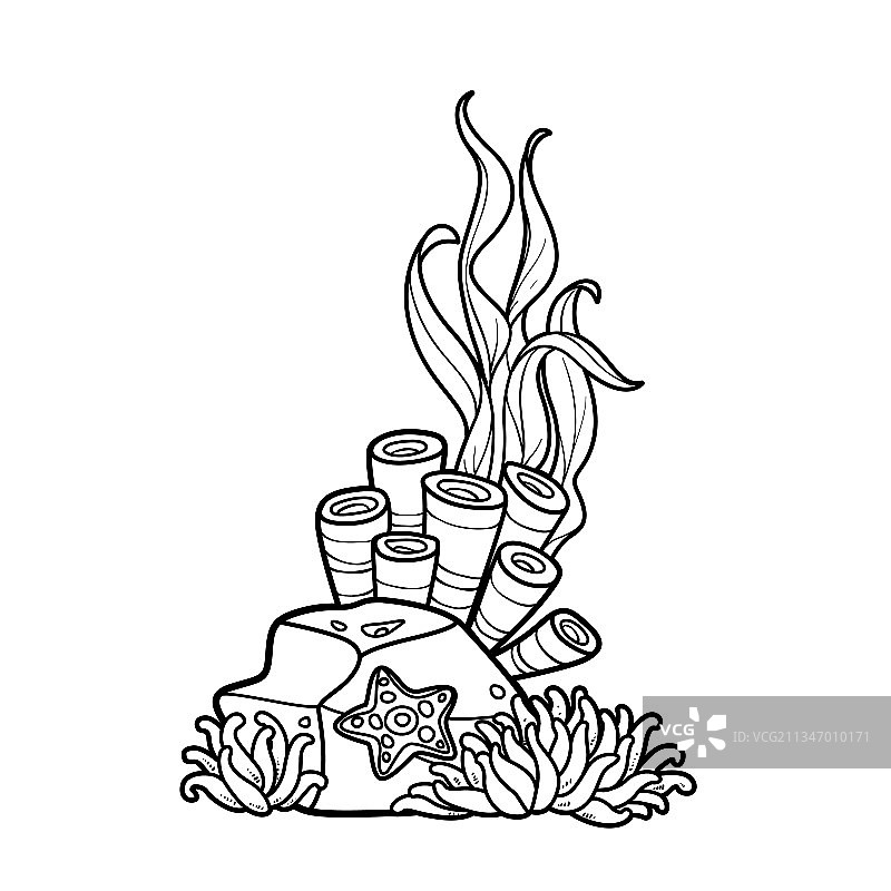 珊瑚和海绵生长的砂岩图片素材