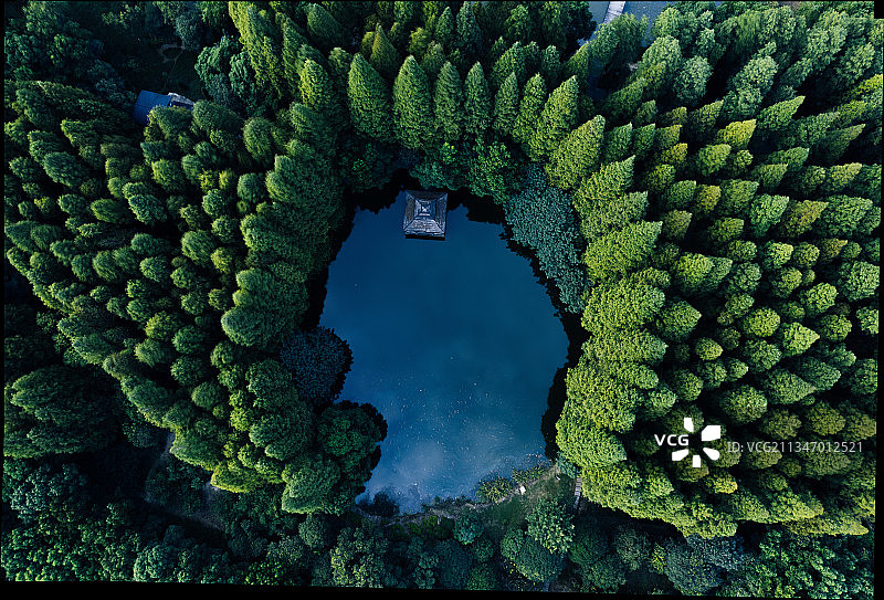 绿色树林蓝色湖泊生态有氧大自然图片素材