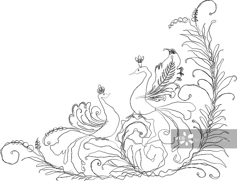 装饰曲线花卉边角轮廓图片素材