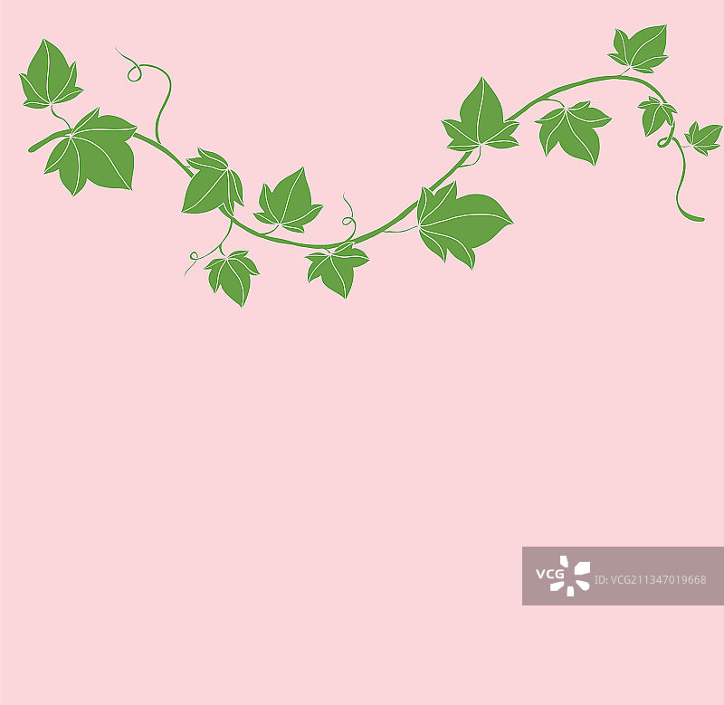 简约常春藤手绘扁平风设计图片素材