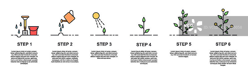 植物生长阶段概念图片素材