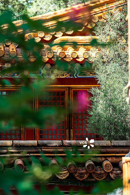 秋天阳光下北京故宫御花园图片素材