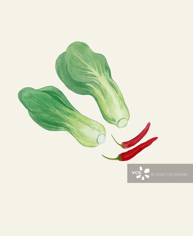 农作物蔬菜小白菜小米椒食物食材青菜背景插画图片素材