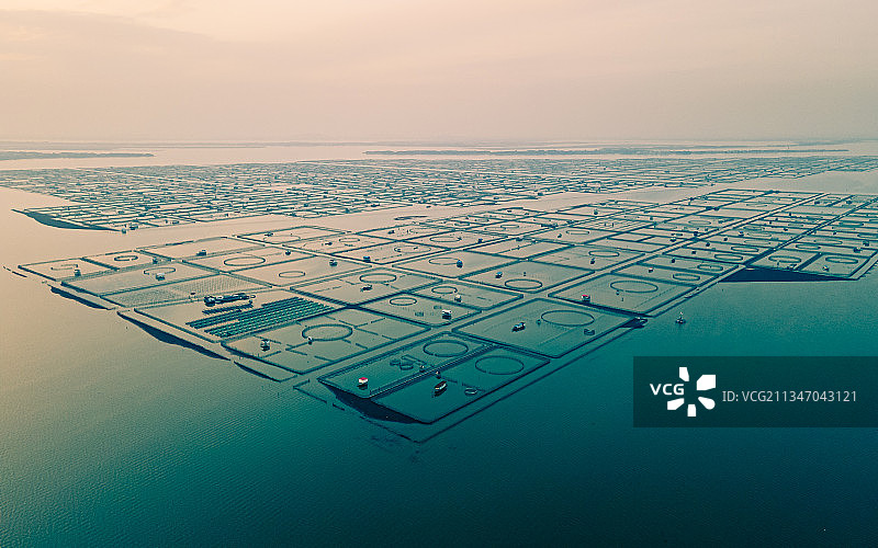 苏州昆山巴城阳澄湖大闸蟹养殖基地图片素材