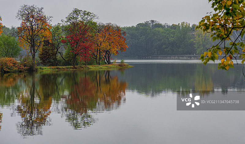 南京中山植物园-前湖图片素材