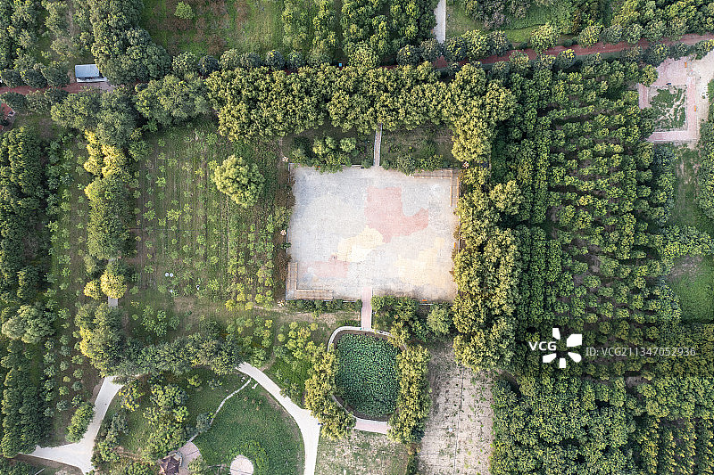 20210829中国 河北省 石家庄市 深泽县 滨河公园图片素材