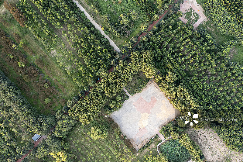 20210829中国 河北省 石家庄市 深泽县 滨河公园图片素材