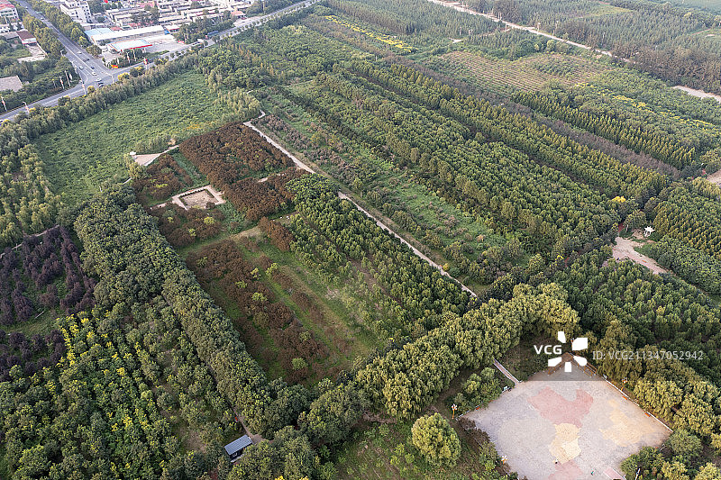 20210829中国 河北省 石家庄市 深泽县 滨河公园图片素材