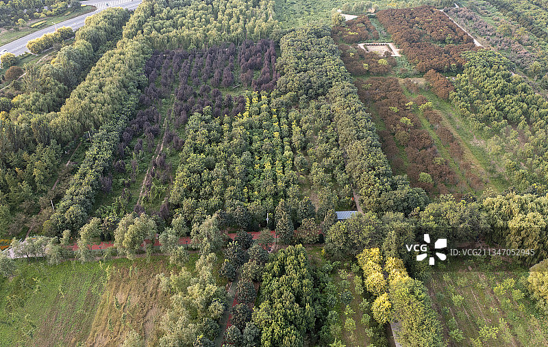 20210829中国 河北省 石家庄市 深泽县 滨河公园图片素材