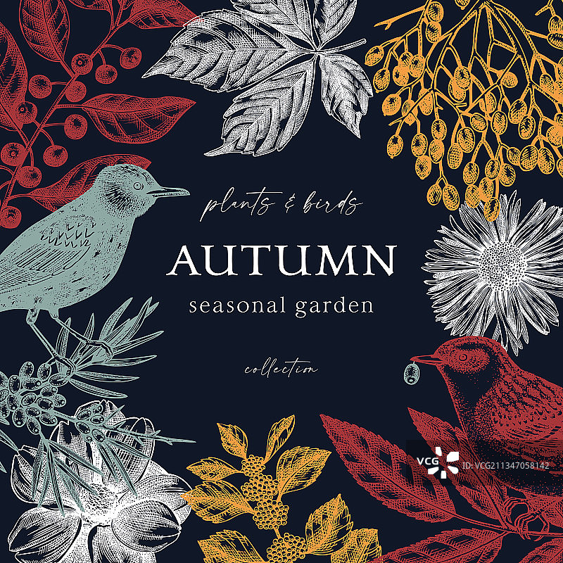 时尚彩色秋季花环与野鸟设计图片素材