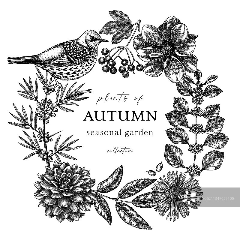 手绘复古风格秋季花环图片素材