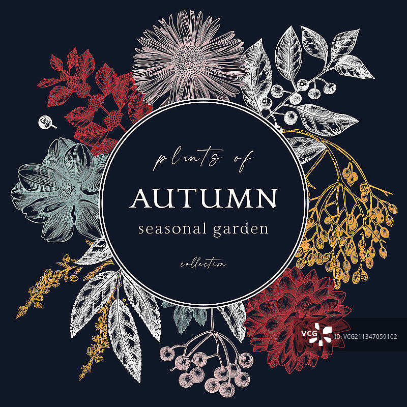 深蓝色潮流秋季花环设计图片素材