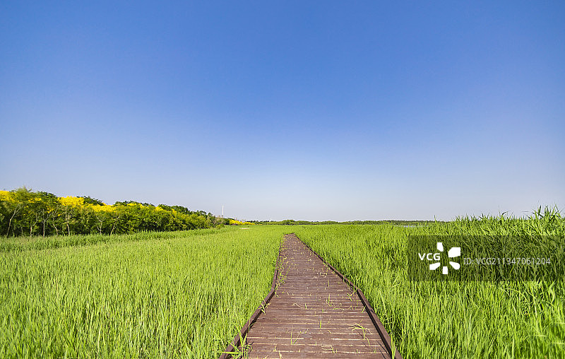 天津西青郊野公园自然风光图片素材