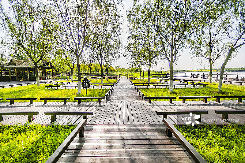 天津西青郊野公园自然风光图片素材