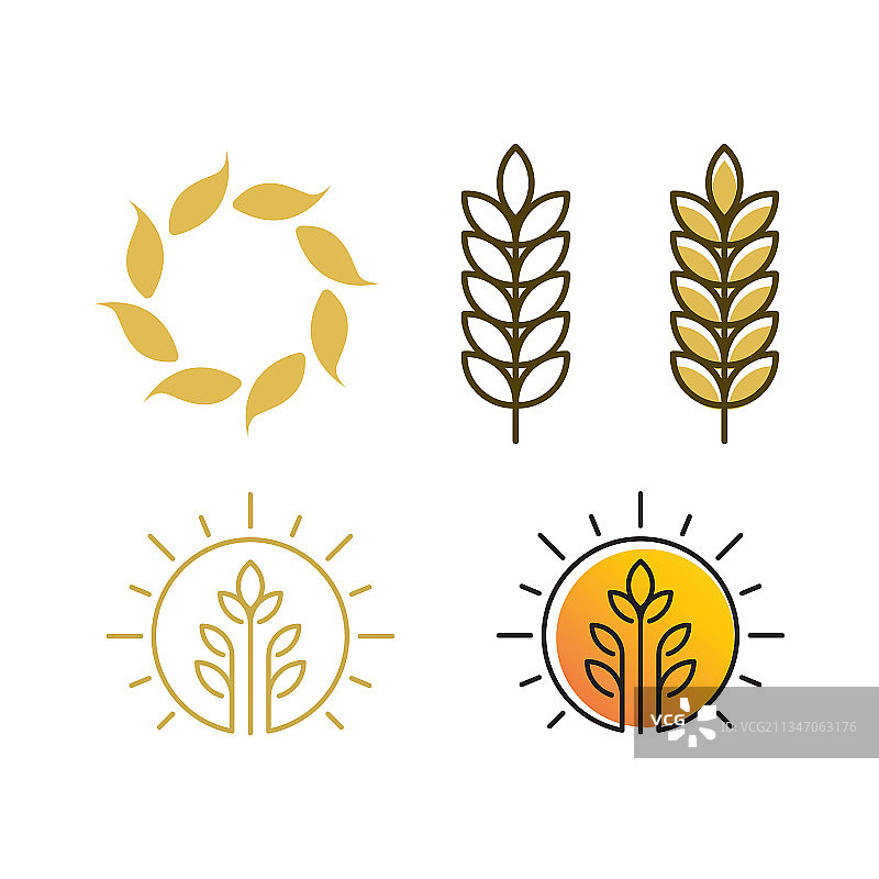 农业小麦图片素材