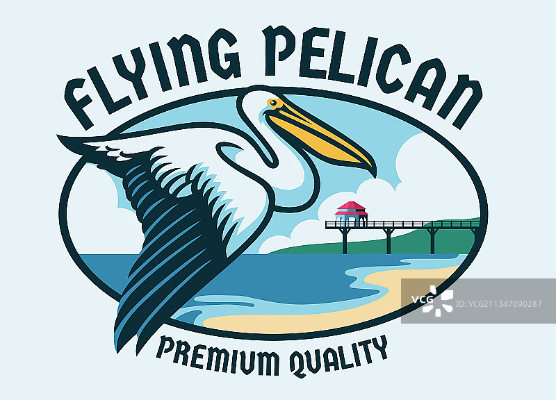 海滩背景下的飞翔鹈鹕图片素材