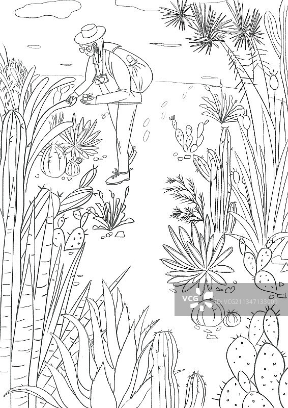 植物黑白线稿图片素材